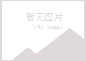 浙江山柏会计有限公司